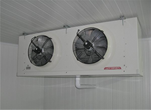 Las mejores marcas de ventilador de evaporador ventiladores evaporador cubico 2 ventiladores