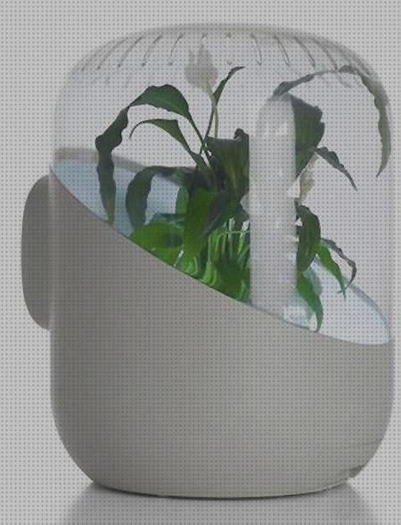 Las mejores plantas purificador aire Más sobre eolo ventilador techo Más sobre paeamer ventilador pie purificador de aire plantas