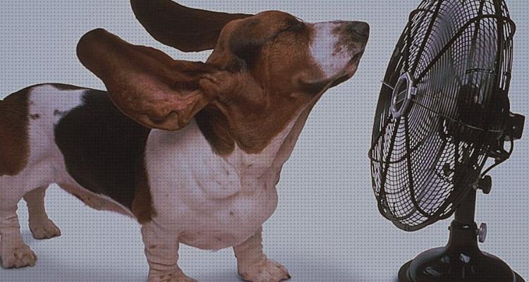 Las mejores fríos ventiladores ventilador frio calor de pie pequeño